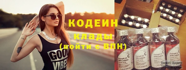 индика Осинники