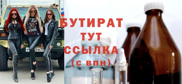 индика Осинники