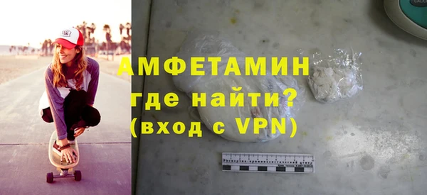 индика Осинники