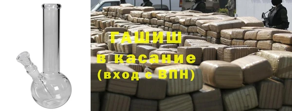 индика Осинники