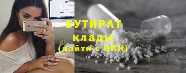 индика Осинники