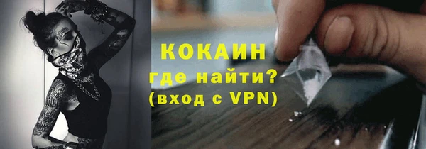 индика Осинники