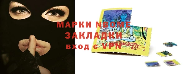 индика Осинники