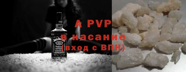 индика Осинники