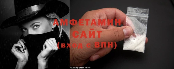 индика Осинники