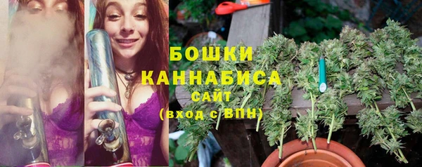 индика Осинники