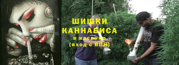 индика Осинники