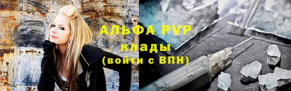 индика Осинники