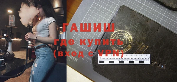 индика Осинники