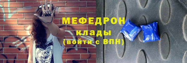 индика Осинники