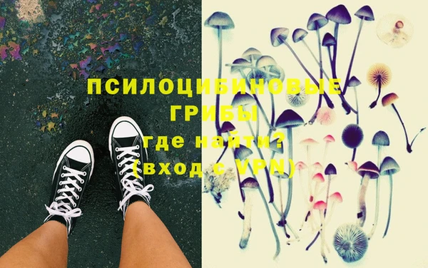 индика Осинники