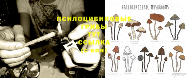 таблы Осташков