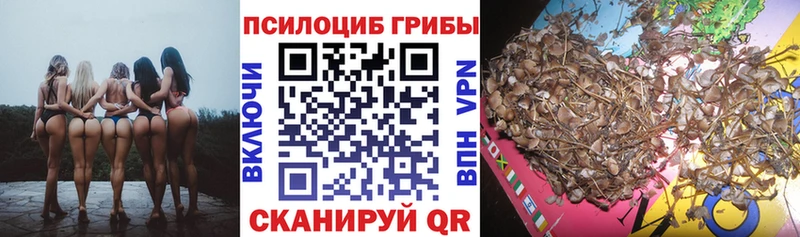 Галлюциногенные грибы мицелий  Сертолово 