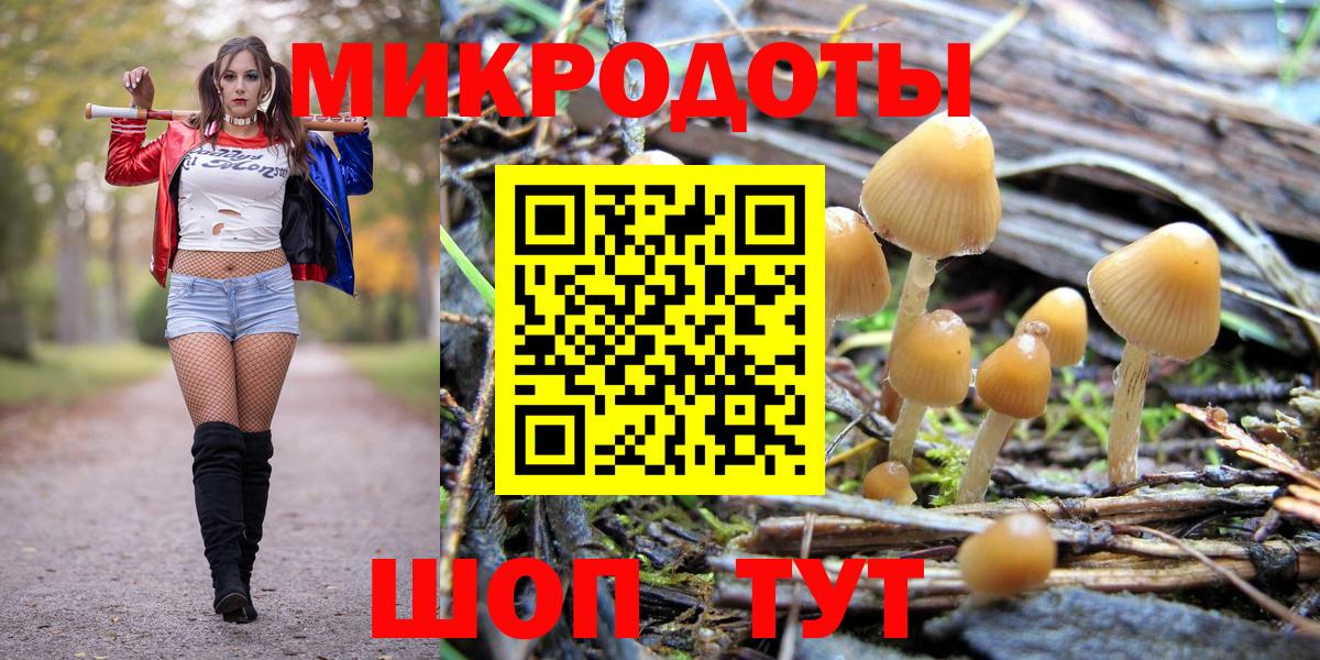Галлюциногенные грибы прущие грибы Сертолово