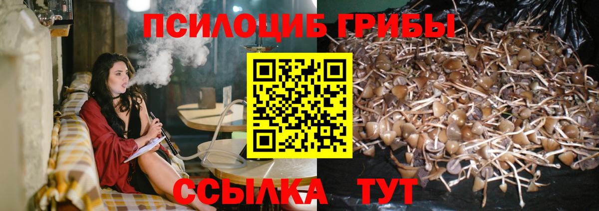 Сертолово  Псилоцибиновые грибы мухоморы  Вход с VPN  Псилоцибиновые грибы MAGIC MUSHROOMS 