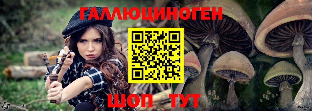 Псилоцибиновые грибы мицелий Сертолово