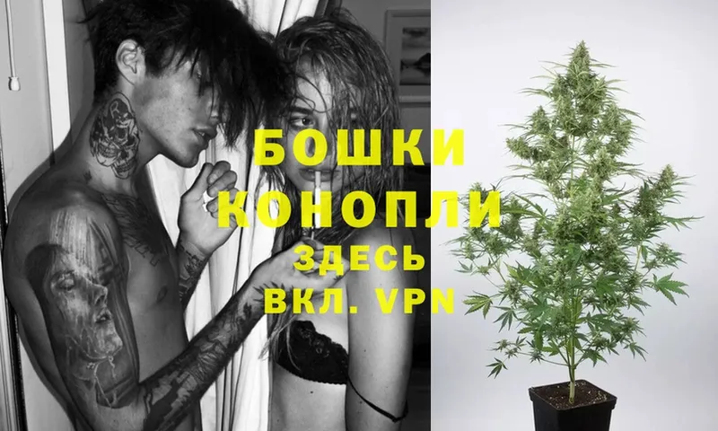 Конопля THC 21%  купить наркоту  Сертолово 