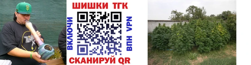 mega   Сертолово  Шишки марихуана OG Kush  цены наркотик 