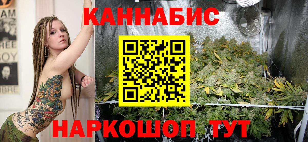 Бошки марихуана Amnesia  Марихуана конопля  Сертолово  Бошки марихуана OG Kush 